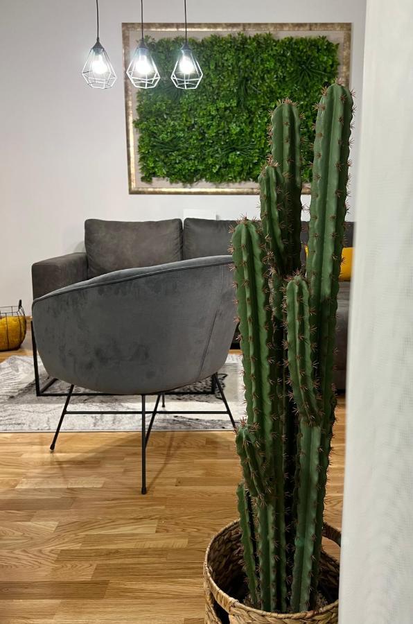 Jungle Lux Apartment Čačak Extérieur photo